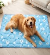 dog cooling mat