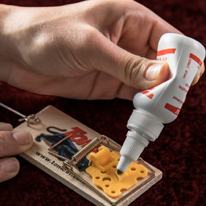 Bait Trap
