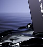 Ethernet Splitter 1 to 2