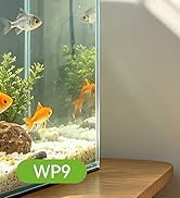 alexa power strip