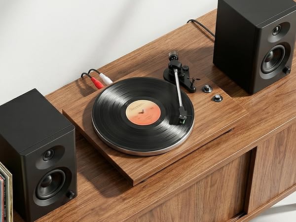 computer speakers for desktop pc and record player