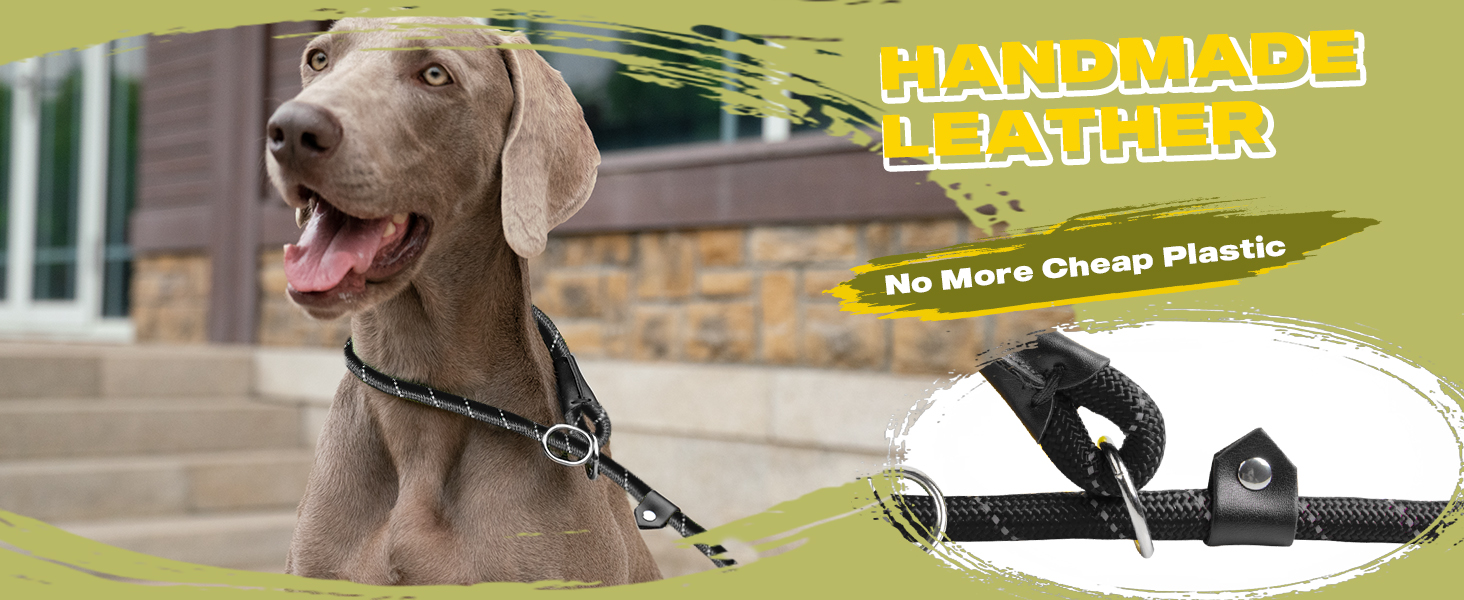 Slip Lead Dog Leash