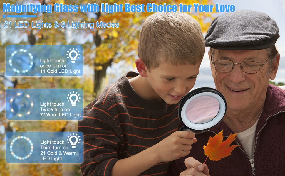 lighted magnifying glass