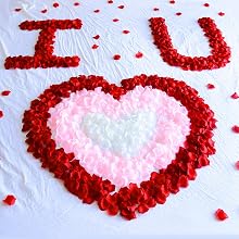 Flower Petals for Romantic Night