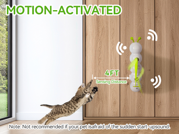 cat toy 3241