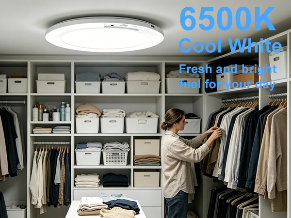 6500K – Cool White