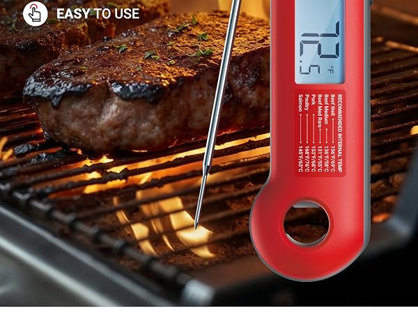 meat thermometer