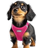 rabbitgoo Small Dog Harness, Step-in Soft Mesh Puppy Vest, Easy Walk with Safety Buckle, Breathab...