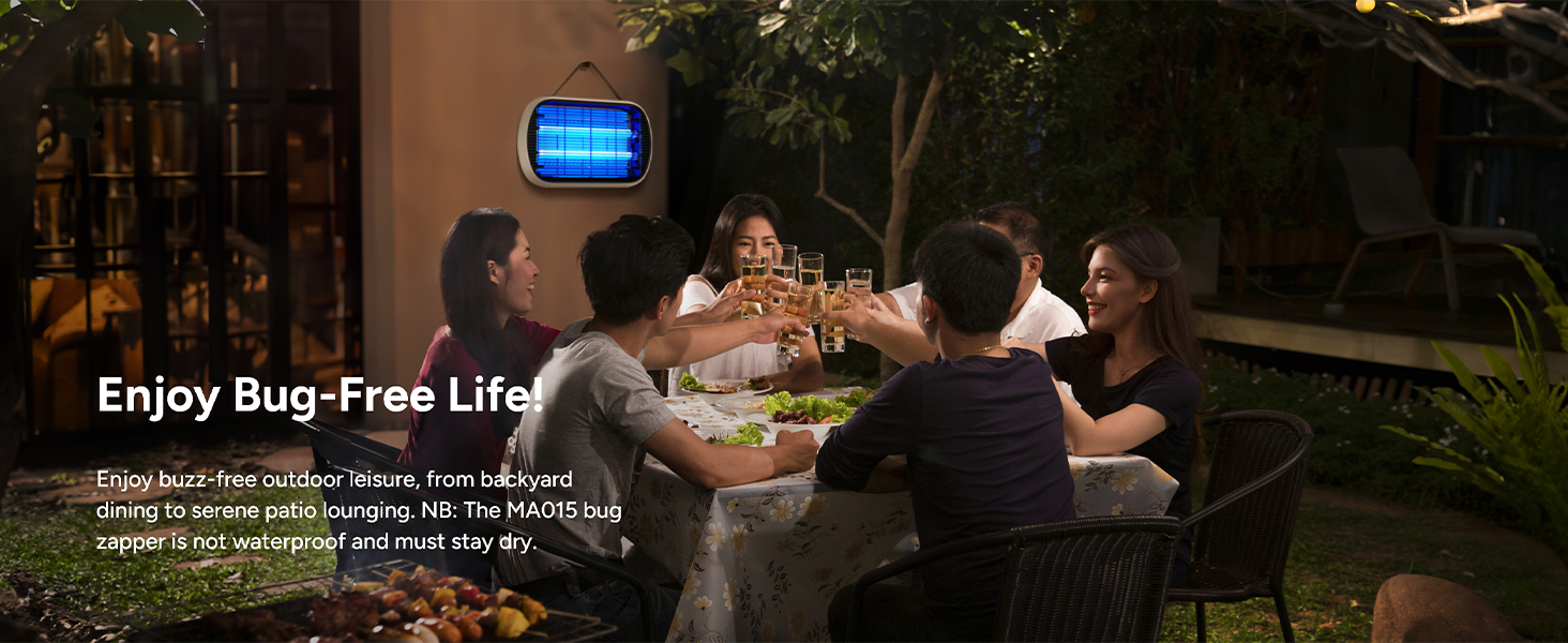 mosquito zapper indoor