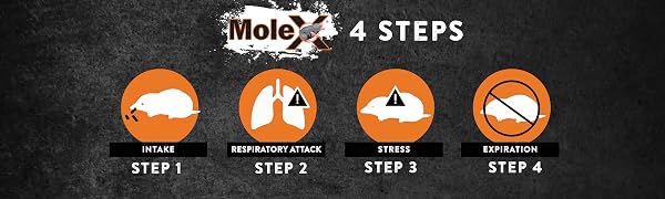How MoleX Works
