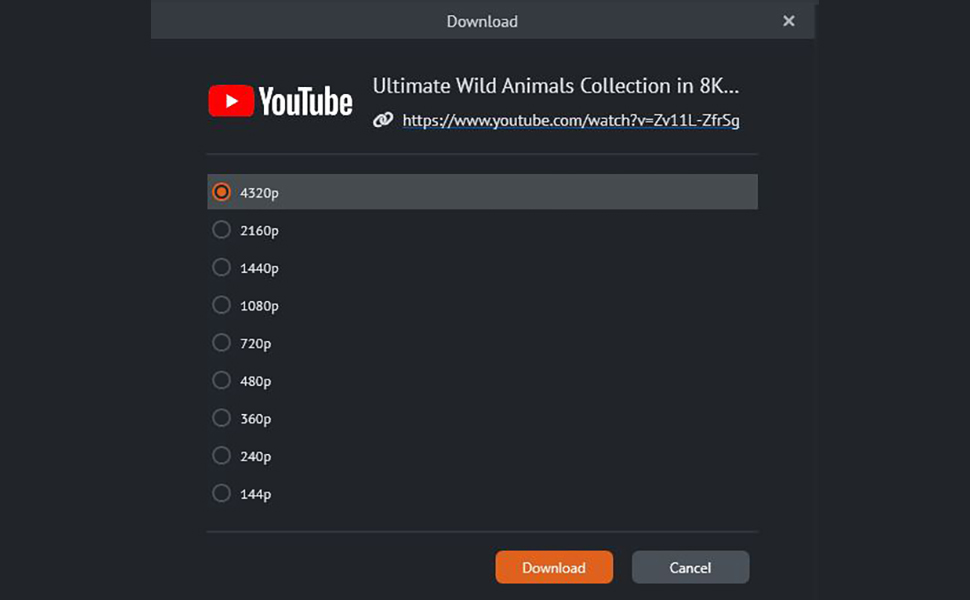 youtube downloader