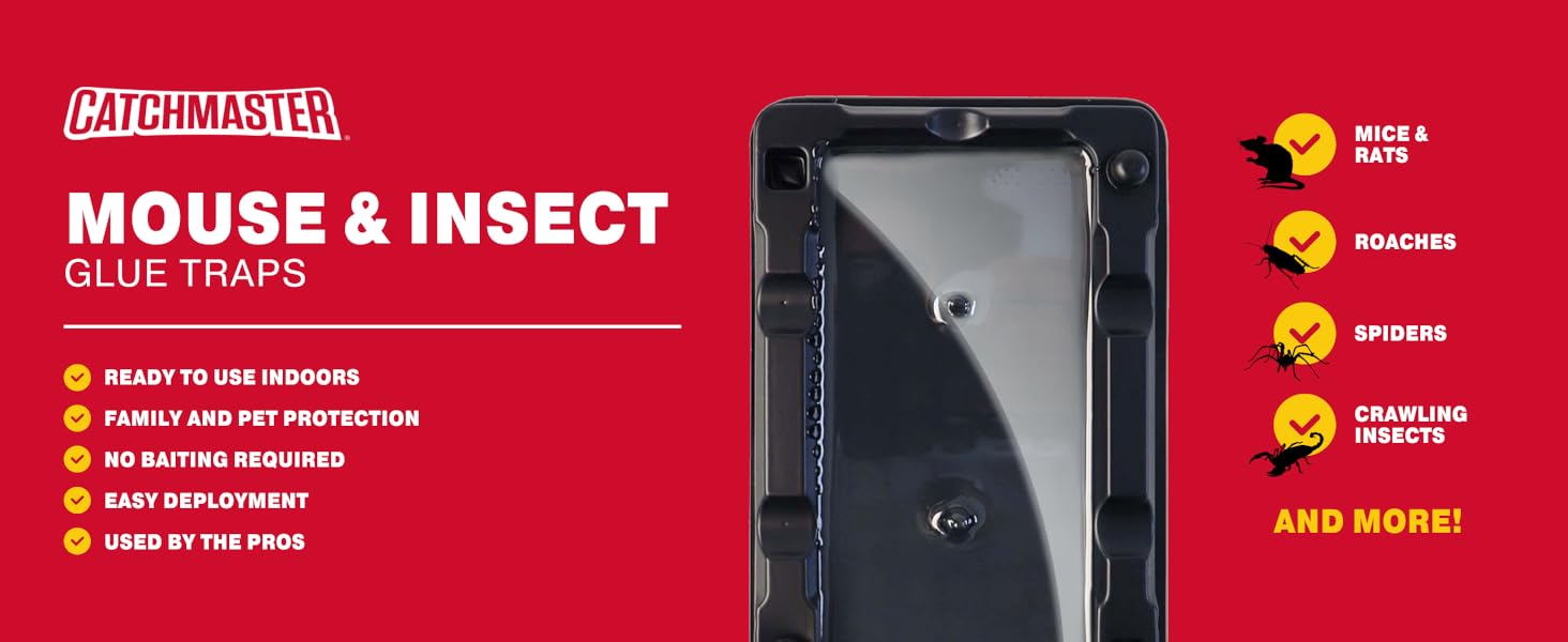 mouse and insect baited glue trap