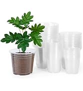 JERIA 40 Pack 6/5/4/3.5Inch Clear Nursery Pots with Drainage Holes, Clear Plant Pot for Planting,...