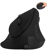 Wireless Mouse Ergonomic Vertical Mouse for Large Hands Big Quiet Silent Ergo Blue LED Light 3600...
