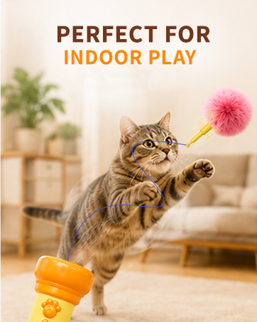 Cat Teaser Launcher