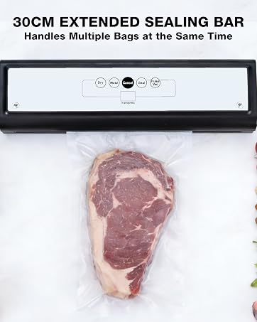 compact vacuum sealer for food