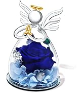 SITUMEIZI Christmas Rose Gifts for Women,Birthday Gifts for Women Mom,Preserved Rose in Glass Ang...