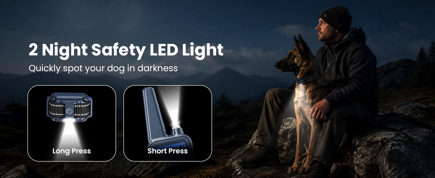 LED Light