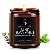 Mint Eucalyptus Scented Candle for Home Soy Wax Candle, Aromatherapy Candle Gift for Women Men, 7oz