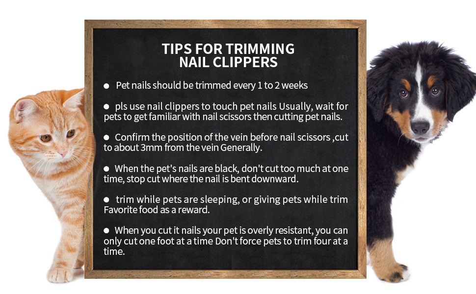 dog nail trimmers
