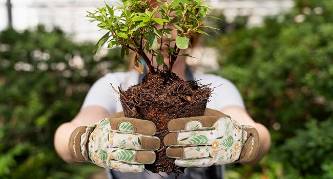 Gardening Gloves for Women Ladies Thorn Proof Leather Yard Gloves Gift for Gardeners