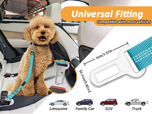 dog seat belt for car