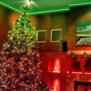 Thanksgiving and Christmas Gifts