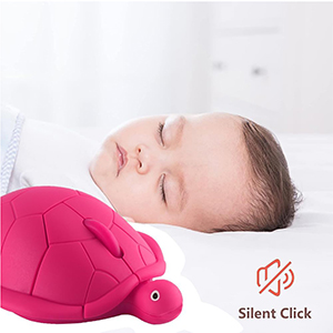 turtul mouse