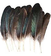 MehelloFeather Pheasant Feathers 12 PCS Turkey Feathers Tail 8-10 Inch for DIY Crafts Hat Floral ...