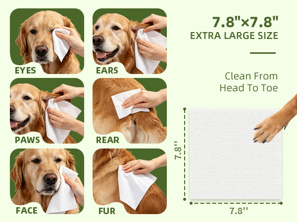ear wipes for dogs