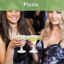 Picnic