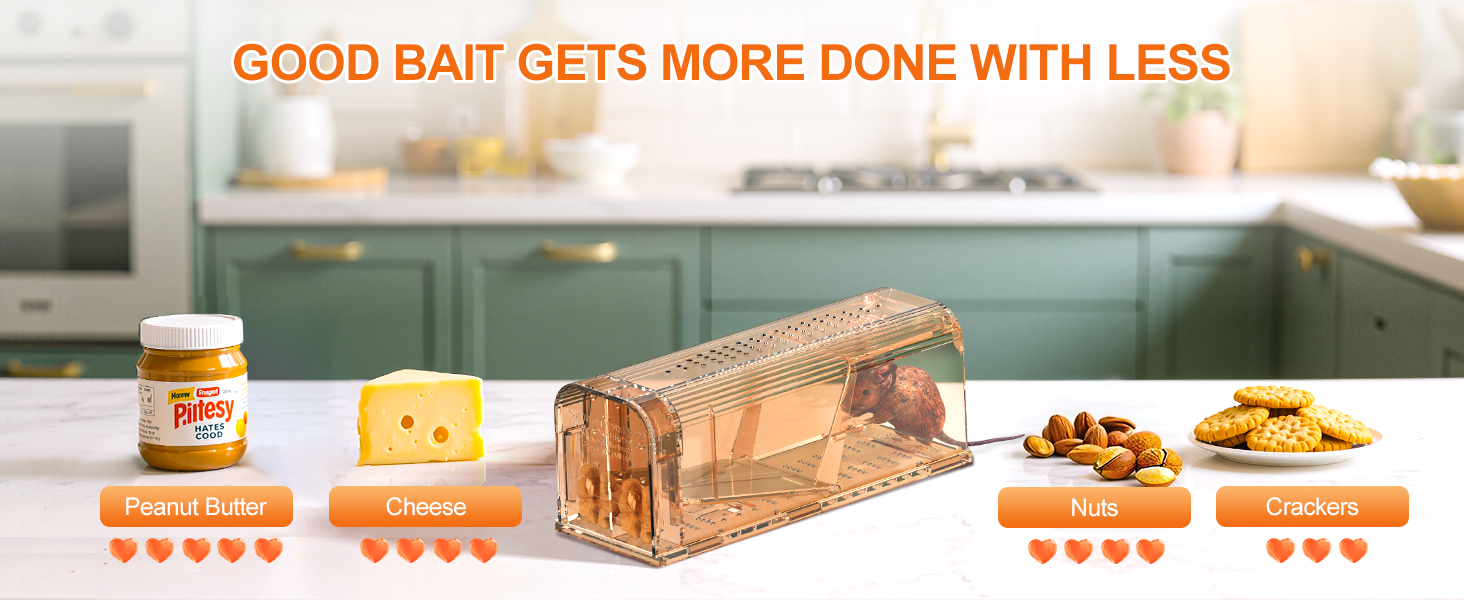 mouse traps humane