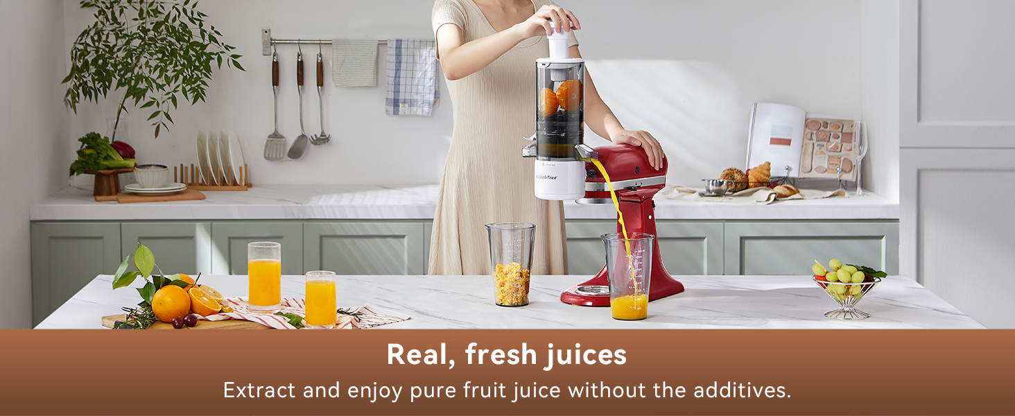 cold press juicer