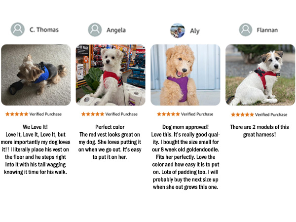 dog harness