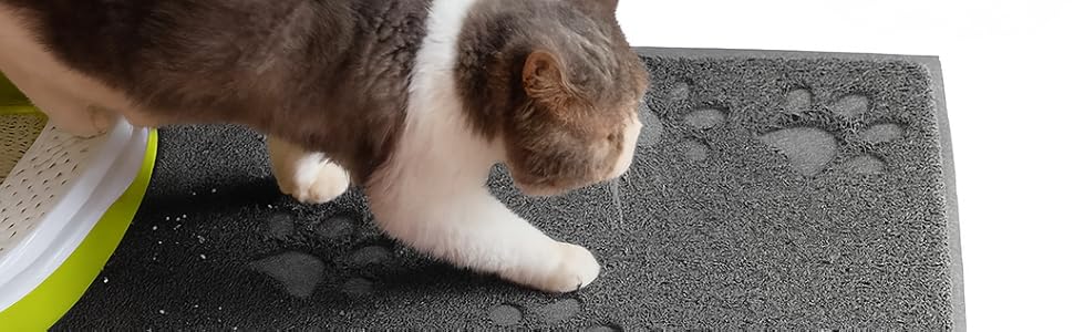 Cat stepping on mat outside litter box area