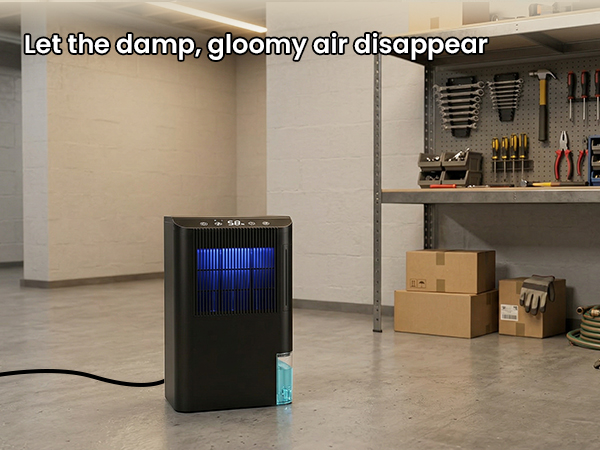 dehumidifier for basement