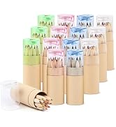 Zeckzoin 30 Pack Mini Drawing Colored Pencils with Sharpener, Portable Color Pencils in Tube Draw...