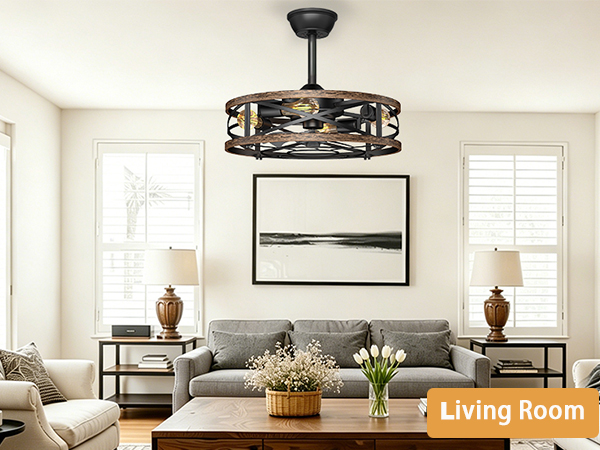 caged ceiling fan for office