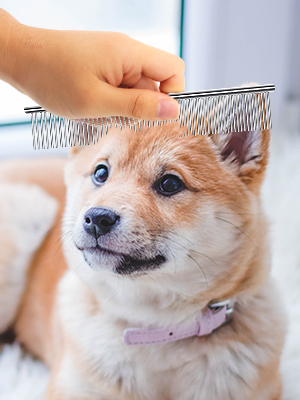 ROPO DOG COMBS