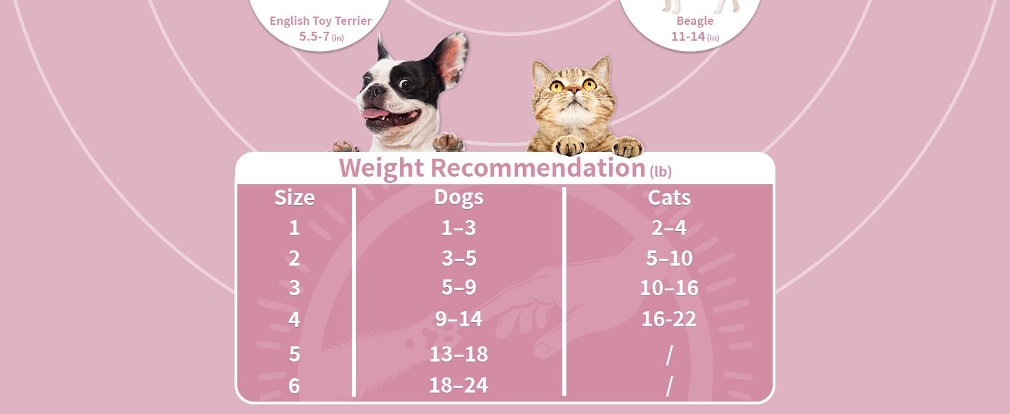 soft cat cone collar