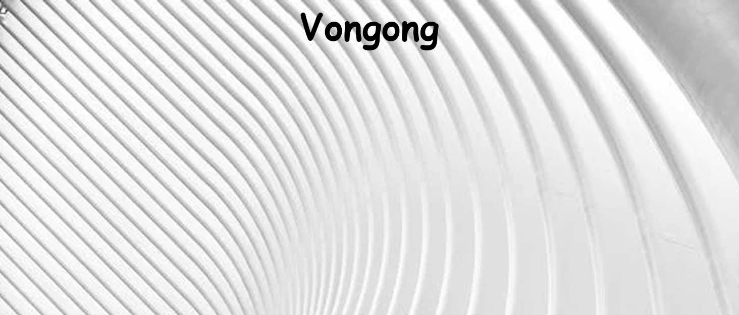 Vongong