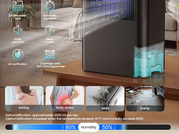 dehumidifier for mold
