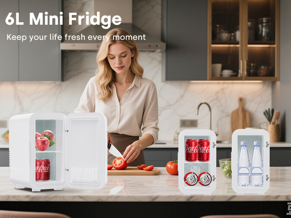 6L mini Fridge