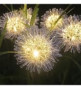 4PK 32LED Solar Garden Lights Outdoor, Dandelion Solar Lights Outdoor, IP65 Waterproof Firefly Li...