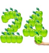 HANZE 24 Pack Large Plastic Green Apple Containers - Ideal for Teachers Appreciation, Gifts, and ...