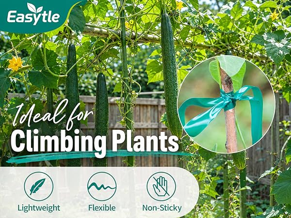 Plant Tape