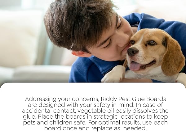 save pets