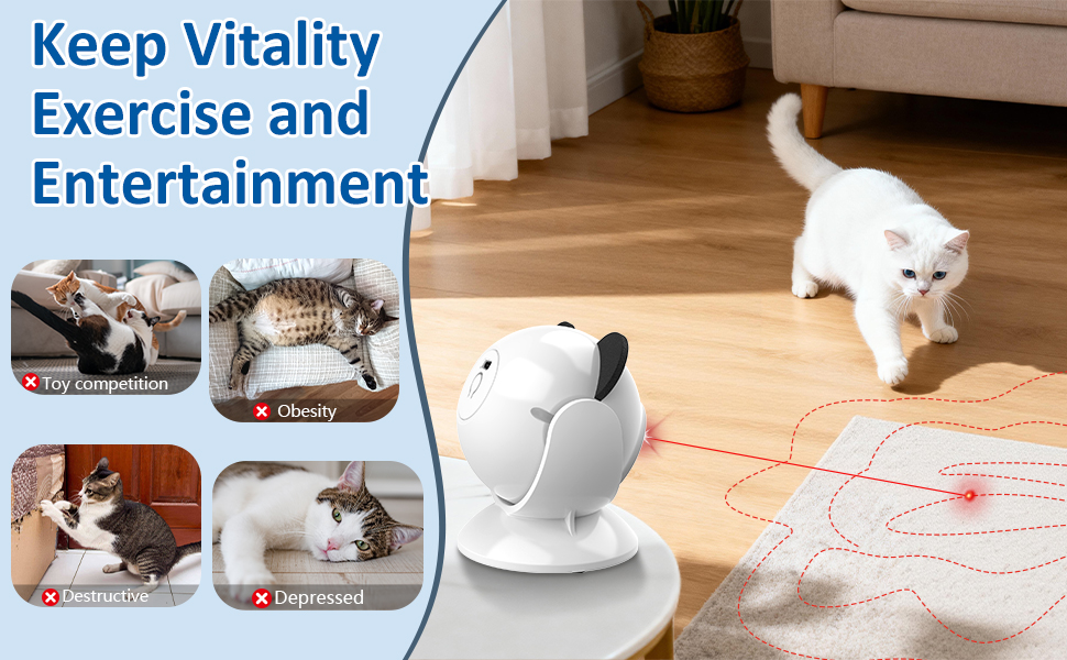 cat laser
