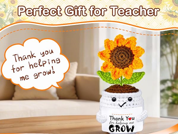 teacher appreciation gifts
