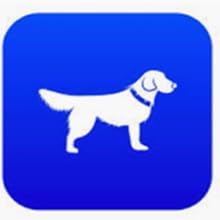 pet waste disposal bags dog poops bags